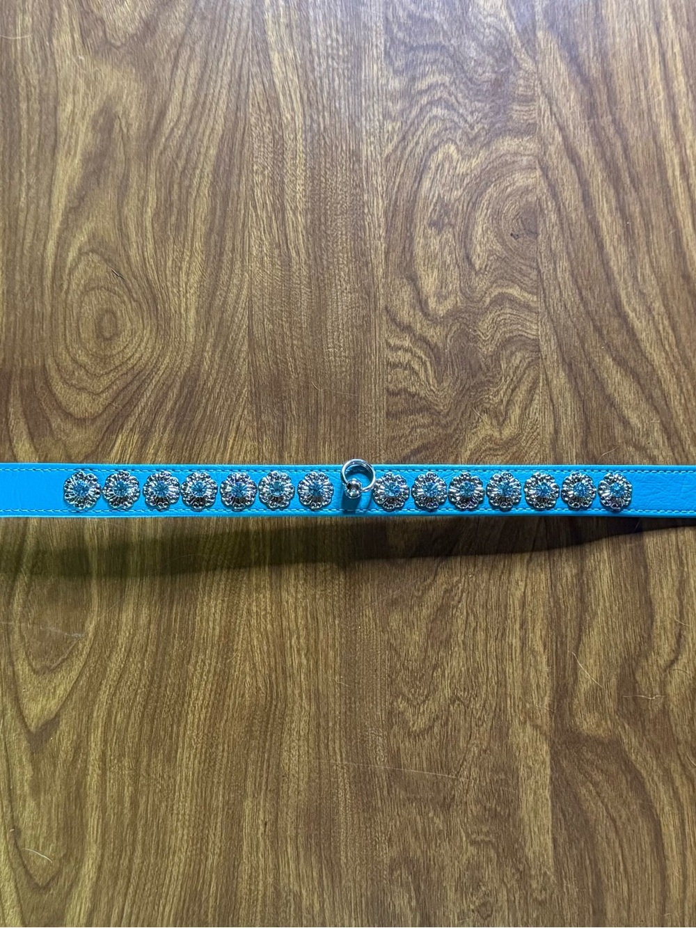 Teal Dog Collar - Size Medium